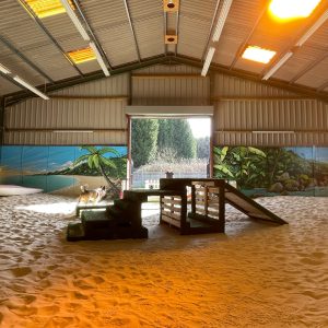 Dog Adventure Barn
